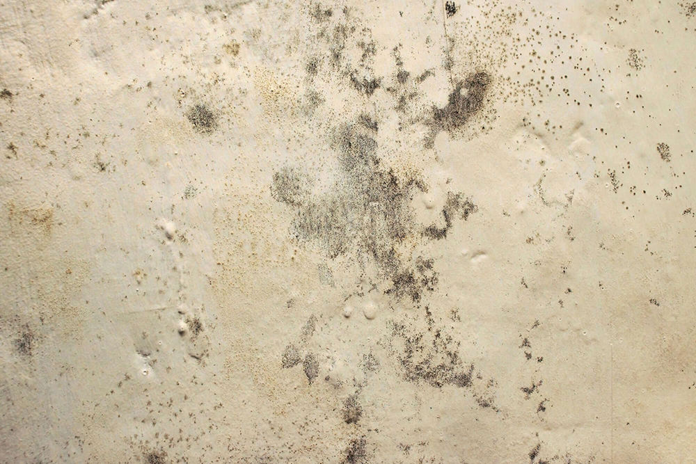 Como resolver Bolhas e Manchas na Pintura